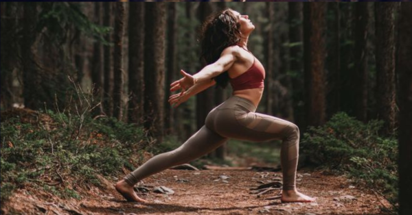 Yoga Integral